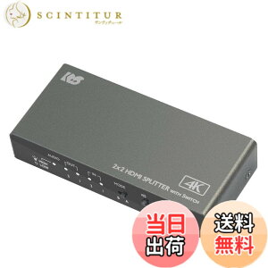 �y���������z4K60Hz�Ή� 2����2�o�� ���͐ؑ֋@�\�t HDMI���z��i�_�E���X�P�[���Ή��j RS-HDSP22-4K