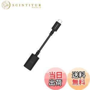 �y���������zaudioquest �I�[�f�B�I�N�G�X�g DRAGONTAIL/AD (USB-typeC) Android�pUSB�A�_�v�^�[