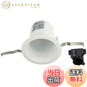 �y���������z�p�i�\�j�b�N(Panasonic) �_�E�����C�g LED ��100 �{�� �� �d���F NNN61512WK