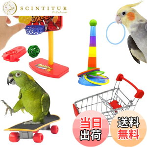 �y���������z[LUKASTR] �C���R �������� �I�E�� �y�b�g�p�i �o�[�h�g�C ���̂������� �m��ߋ� �Z�L�Z�C�C���R �I�J���C���R 4�_�Z�b�g