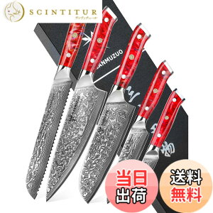 �y���������zSANMUZUO Chef Cooking Knives Set- Kitchen Knife Set of 5 Piece - Ultra-Sharp VG10 Damascus Steel & Resin Handle - Xuan Series (Sunset Red)