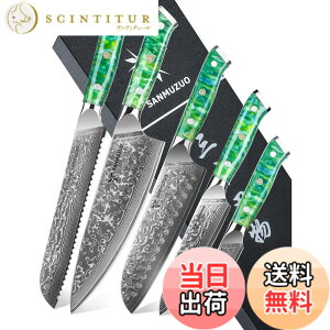 �y���������zSANMUZUO Chef Cooking Knives Set- Kitchen Knife Set of 5 Piece - Ultra-Sharp VG10 Damascus Steel & Resin Handle - Xuan Series (Jade Green)