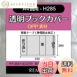 �y���������zREMITA �����u�b�N�J�o�[ A4��p-H285�iA4��菬���߂̎G�����j 20�� OPP�f�� BC20A4H285