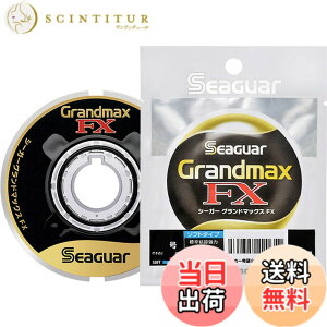 �y���������z�V�[�K�[(Seaguar) �n���X �V�[�K�[ �O�����h�}�b�N�XFX 60m 2�� �N���A