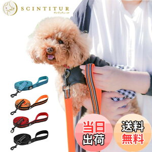 �y���������zPetGround �� ���[�h ���� �\�t�g���[�h �_�炩�� ������� �y�� ���ˑf�� �y�b�g�p�i ���b�V�� ���^�� ���^�� ��^�� (�u���[ M)