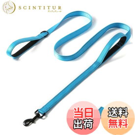 【送料無料】PetGround 犬 リード ダブルハンドル 小型犬 中型犬 大型犬 サブグリップ付き 反射 しつけ 訓練リード ショート 柔らかい クッション 丈夫 可愛い おしゃれ (ブルー 150cm)