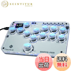 �y���������zHaute42 ���o�[���X�A�P�R�� �����^�I�[���{�^���A�P�R�� ���o�[���X�R���g���[���[ for PC/Switch/PS4 PS3 RGB���C�g DIY �z�b�g�X���b�v �A�ˋ@�\ �i���Q�[���R���g���[���[ ���{���