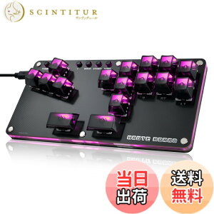 �y���������zHaute42 ���o�[���X �A�P�R�� ���o�[���X �A�[�P�[�h�R���g���[���[ B16�{�^�� �L�[�{�[�h for PC/Switch2/Switch/PS4 PS3/Windows �A�P�R�� �z�b�g�X���b�v�Ή� �{�^���̓���ւ� �����x ��