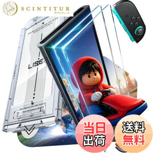 �y���������zLISEN �Ή� Switch 2 ���˒ጸ �����K���X�t�B�����y2���Z�b�g�z�b�Ή� switch 2 �ی�t�B���� �}�b�g�\�ʉ��H�E��t�K�C�h�t���E���񂽂�\�t�E9H�d�x�E�C�A�[���E�w��h�~�E�Ή� 