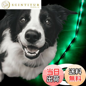 �y���������zTERUI Lights Osaka �� ���郊�[�h LED �[�d�� USB-C ��� �U�� �����[�h ���C�g 1.2m ���� ���[�h ���� �S������ �h�� 16���Ԏg�p ���̓o�b�e���[ �����P�[�u�� ���^�� ���^�� ��^�� ���S