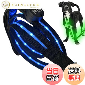 �y���������zTERUI Lights Osaka �� ���郊�[�h LED �[�d�� USB-C ��� �U�� �����[�h ���C�g 1.2m ���� ���[�h ���� �S������ �h�� 16���Ԏg�p ���̓o�b�e���[ �����P�[�u�� ���^�� ���^�� ��^�� ���S