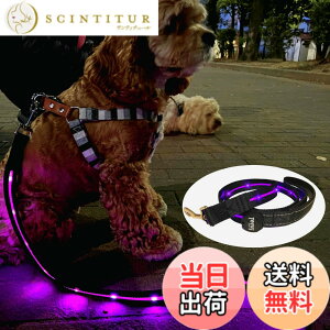 �y���������zTERUI Lights Osaka �� ���郊�[�h LED �[�d�� USB-C ��� �U�� �����[�h ���C�g 1.2m ���� ���[�h ���� �S������ �h�� 16���Ԏg�p ���̓o�b�e���[ �����P�[�u�� ���^�� ���^�� ��^�� ���S