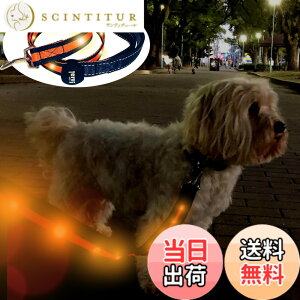 �y���������zTERUI Lights Osaka �� ���郊�[�h LED �[�d�� USB-C ��� �U�� �����[�h ���C�g 1.2m ���� ���[�h ���� �S������ �h�� 16���Ԏg�p ���̓o�b�e���[ �����P�[�u�� ���^�� ���^�� ��^�� ���S