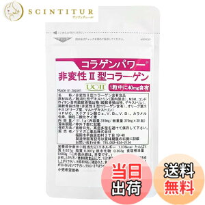 �y���������z��ϐ� 2�^ �R���[�Q�� UC-II �������v���C�X �R���Q���p���[ 30�� 30���� II�^�R���[�Q�� �T�v�� �R���p���[