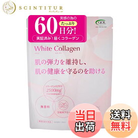 【送料無料】大容量コラーゲン 無味無臭 機能性表示食品ホワイトコラーゲン 180g (60回分) ワンデイホワイト コラーゲン エラスチン ヒアルロン酸 機能性表示食品 肌の弾力 肌の健康