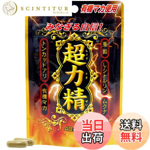 �y���������z���E�L���� SP ���͐� 20���� 40�J�v�Z�� �T�v�� �L�@�}�J ���� �V�g������ ���N�i �g���J�b�g�A��