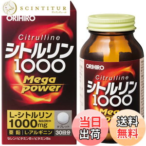 �y���������z�I���q�� �V�g������ MegaPower1000 240�� �A���M�j�� ����
