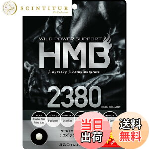 �y���������z�{�[�e�T���e���{���g���[�Y HMB 2380 �G�C�`�G���r�[ ��e�� ��40����