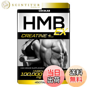 �y���������zHMB100,000mg �N���A�`�� ���m�n�C�h���[�g70,000mg �T�v�������g ���������y�p�[�\�i���g���[�i�[�ďC�zL-�J���j�`�� L-���W�� 450�� (x 1)