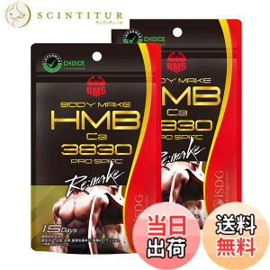 �y���������z[��H�����h�b�g�R��] iSDG HMB Ca383 PRO SPEC Remake 180�� (2�Z�b�g)