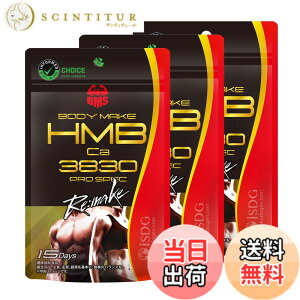 �y���������z[��H�����h�b�g�R��] iSDG HMB Ca383 PRO SPEC Remake 180�� (3�Z�b�g)