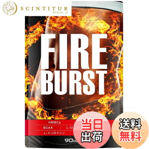 �y���������z�yFIRE BURST�z L-�J���j�`�� BCAA�z�� �T�v�� ���I�f�� 90����