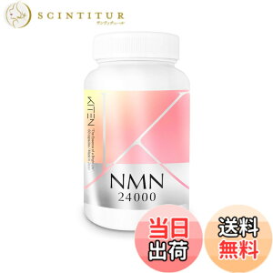 �y���������z�L�e�� NMN �T�v�������g 24000mg �i�C�A�V�� �����x 99.9% 60 �J�v�Z�� ��_���`�^���s�g�p ���W�� ���{��