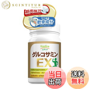 �y���������z�O���R�T�~��EX 180�� 1��30�����y�����^�u���b�g/�R���h���C�`���A�R���[�Q���A�C�~�_�]�[���W�y�v�`�h�A�q�A�������_�A�v���e�I�O���J���z��/�I���[�u�t/�����/�ؓ�����/