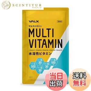 �y���������zVALX �}���`�r�^�~�� ���n���r�^�~�� �R�{�`�� 1��������r�^�~��C500mg �r�^�~��B1 30mg �r�^�~��B2 30mg �r�^�~��B6 30mg �r�^�~��B12 100��g �z�� ���K�r�^�~�� 120��