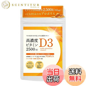 �y���������z�r�^�~��D �T�v�� ���Z�x 2500IU �r�їR�� �r�^�~��D3 �v���|���X ���_�� Vitamin D3 GMP�������� �W���� �L���΍� �݂̂�O���C�� ��30����