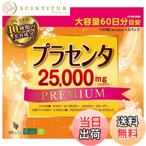 �y���������z�}���}�� �v���Z���^25000 �v���~�A�� 100���i��20�����jx3�p�b�N 60����