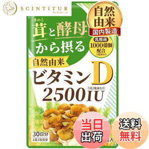 �y���������z�y���R�R�� �r�^�~��D �T�v�������g�z2500IU �L�m�R�ƍy�ꂩ��ۂ�r�^�~��D�i���� �G�����M �y��j ���_�� 1000���z�� �������� 60�� 30���� 1��