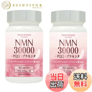 �y���������zNMN �T�v�������g 30000mg (1����333mg)+PQQ+�v���Z���^ �T�v�������g 90������ ���{�� nmn �R�G���U�C��Q10 �G�k�G���G�k GMP�F��H�ꐻ�� ��_���`�^���s�g�p (2�{�Z�b�g)