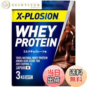 �y���������z�G�N�X�v���[�W���� �v���e�C�� 3kg �z�G�C�v���e�C�� �~���N�`���R���[�g�� WPC X-PLOSION ���{����