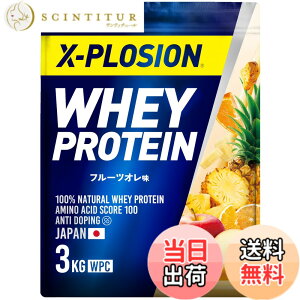 �y���������z�G�N�X�v���[�W���� �v���e�C�� 3kg �z�G�C�v���e�C�� �t���[�c�I���� WPC X-PLOSION ���{����