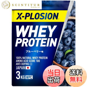 �y���������z�G�N�X�v���[�W���� �v���e�C�� 3kg �z�G�C�v���e�C�� �u���[�x���[�� WPC X-PLOSION ���{����