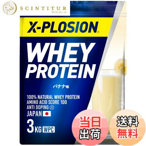 �y���������z�G�N�X�v���[�W���� �v���e�C�� 3kg �z�G�C�v���e�C�� �o�i�i�� WPC X-PLOSION ���{����