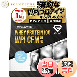 �y���������z�O�����O WPI �v���e�C�� 1kg �z�G�C�v���e�C�� �A�C�\���[�g �z�G�C�v���e�C���A�C�\���[�g ���[�O���g���� �v���e�C��WPI GronG