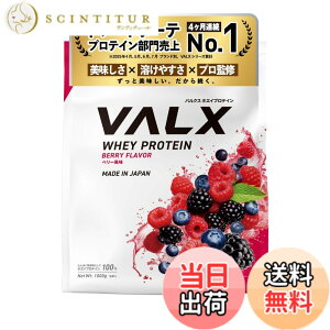 �y���������zVALX �o���N�X �z�G�C �v���e�C�� 1kg �z�G�C�v���e�C�� �x���[ ���� �v���e�C�� WPC �_�C�G�b�g �R�{�`�� �ďC ��������