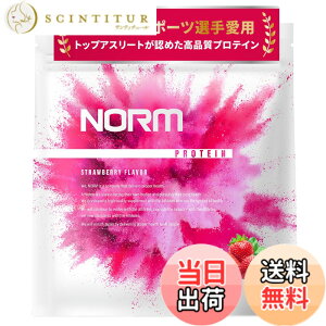 �y���������zNORM �m�[�� �z�G�C �v���e�C�� �l�H�Ö����s�g�p �X�g���x���[ 1kg 100���ȏ�̃g�b�v�A�X���[�g���p WPC WHEY PROTEIN �z�G�C�v���e�C�� ��������