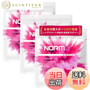 �y���������zNORM �m�[�� �z�G�C �v���e�C�� �l�H�Ö����s�g�p �X�g���x���[ 3kg 100���ȏ�̃g�b�v�A�X���[�g���p WPC WHEY PROTEIN �z�G�C�v���e�C�� ��������