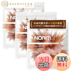 �y���������zNORM �m�[�� �z�G�C �v���e�C�� �l�H�Ö����s�g�p �`���R���[�g 3kg 100���ȏ�̃g�b�v�A�X���[�g���p WPC WHEY PROTEIN �z�G�C�v���e�C�� ��������