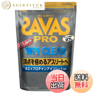 �y���������z�U�o�X(SAVAS) �v�� WPI �N���A 840g (�v�ʃX�v�[����) ����