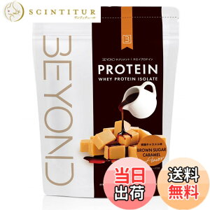 �y���������zBEYOND WPI�v���e�C�� �����L���������� 1kg