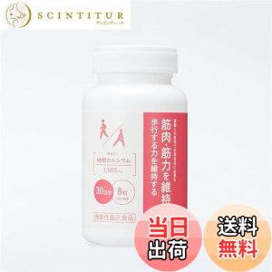 �y���������z�i���X HMB�J���V�E�� 240����