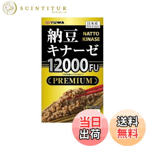 �y���������z�[���L�i�[�[12000FU PREMIUM 240����