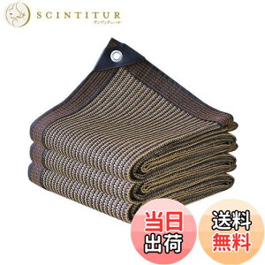 yzzX Ռlbg 5M*6M  VF[h O _ |p O x|G` R[q[F 悯VF[h x_  J[|[g [t [h p[eB[