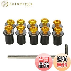 yzLOYELEY XN[{g 10Zbg M5 5mm {g EFibg hlW EChXN[ JEXN[̌Œ bV[EZp`t JbN I[goC oC