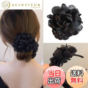 yzHAPVITAL  ob^ p[ JA oiiNbv wANbv fB[X ȒP p 傫 wAAW wAANZT[ JA ~joX Nbv [Y 