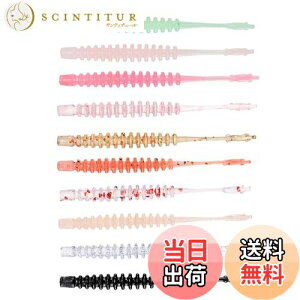 yz_C(DAIWA) o/AW [ l AWOr[2 A\[g